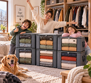 Organizador de Ropa X6 UNIDADES 4