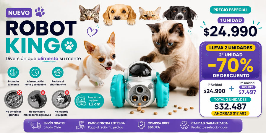 Perro jugando entretenido con el dispensador robot