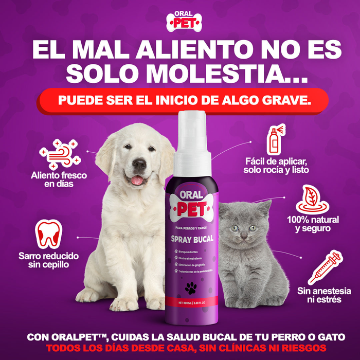 Perro feliz con boca abierta y aliento fresco