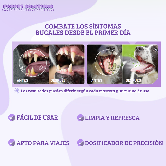 Perro sonriendo con dientes sanos y aliento fresco